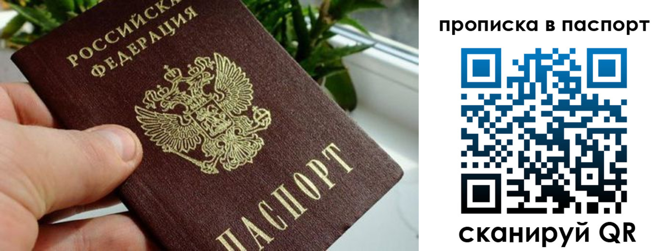 пропишу в квартире в Радужном